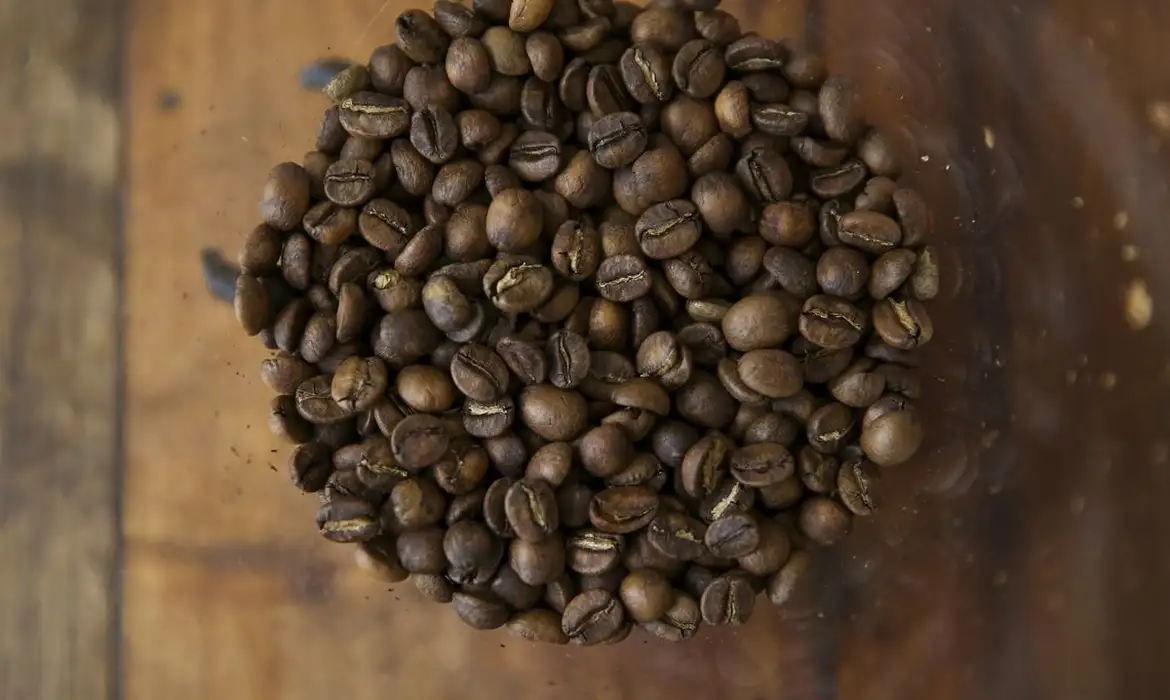 Tarifaço pode impactar vendas de suco de laranja, café, carne e frutas