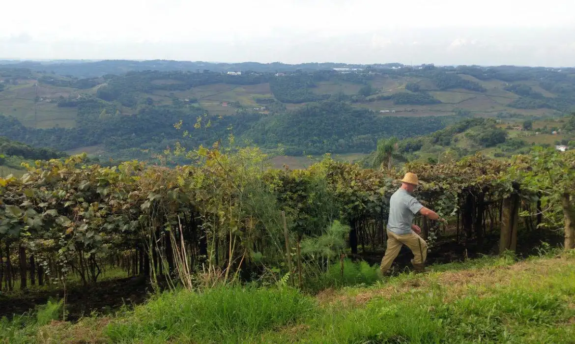 Entrega da declaração do ITR 2025 começa nesta segunda-feira