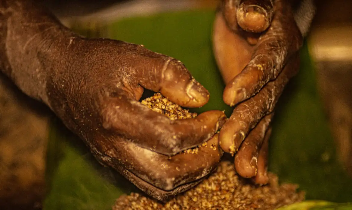 GO: grileiros ameaçam pesquisadores do Incra em área com quilombolas